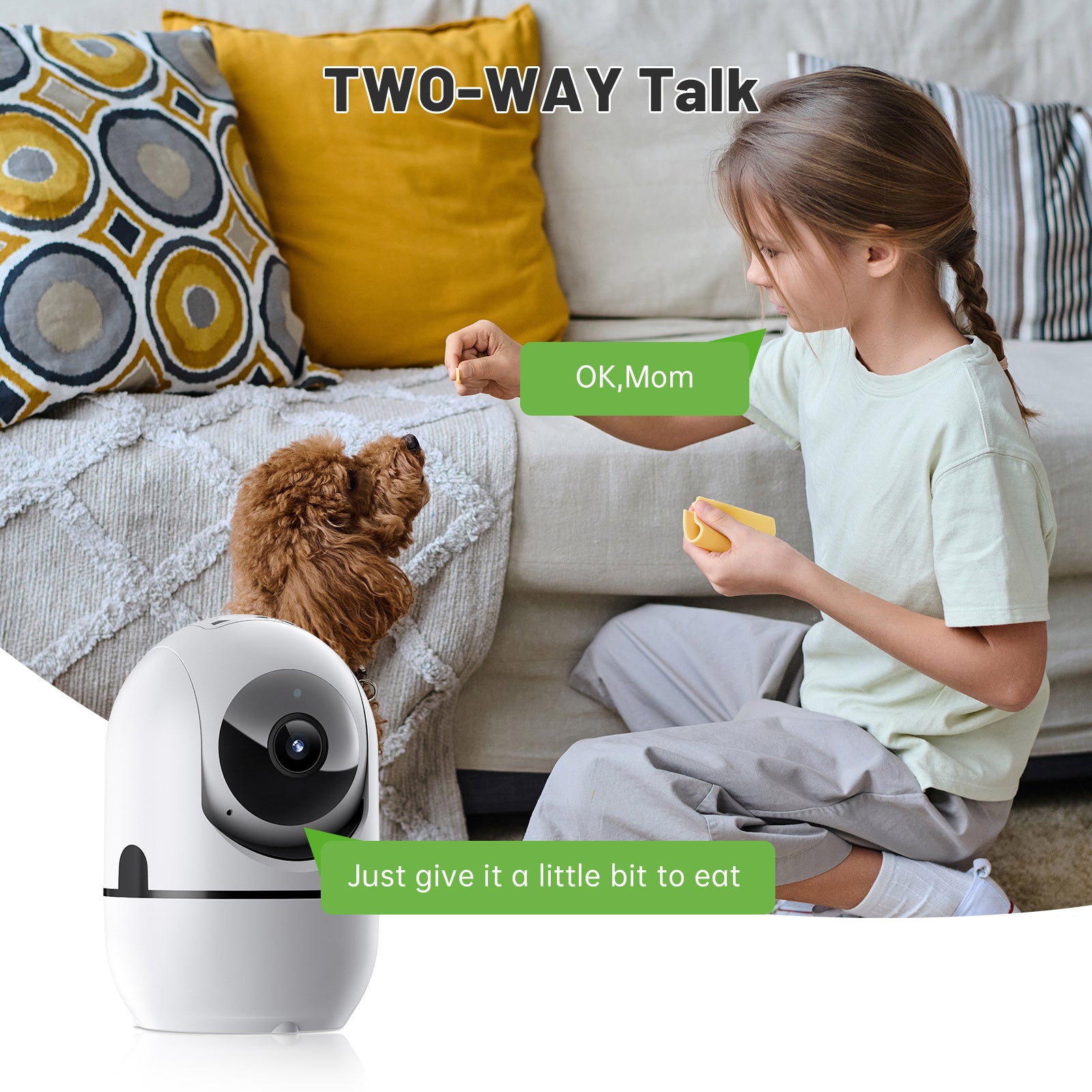 PTZ WIFI Security Camera