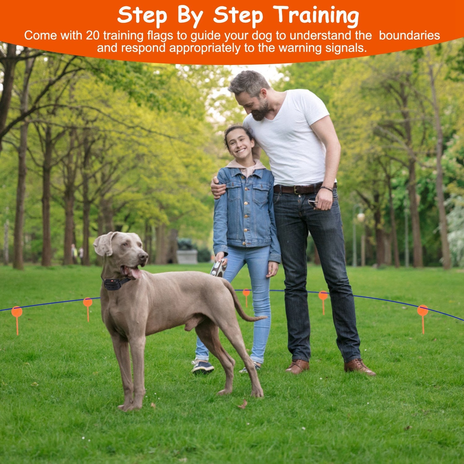 1Set Dog Fence System Pet Containment System