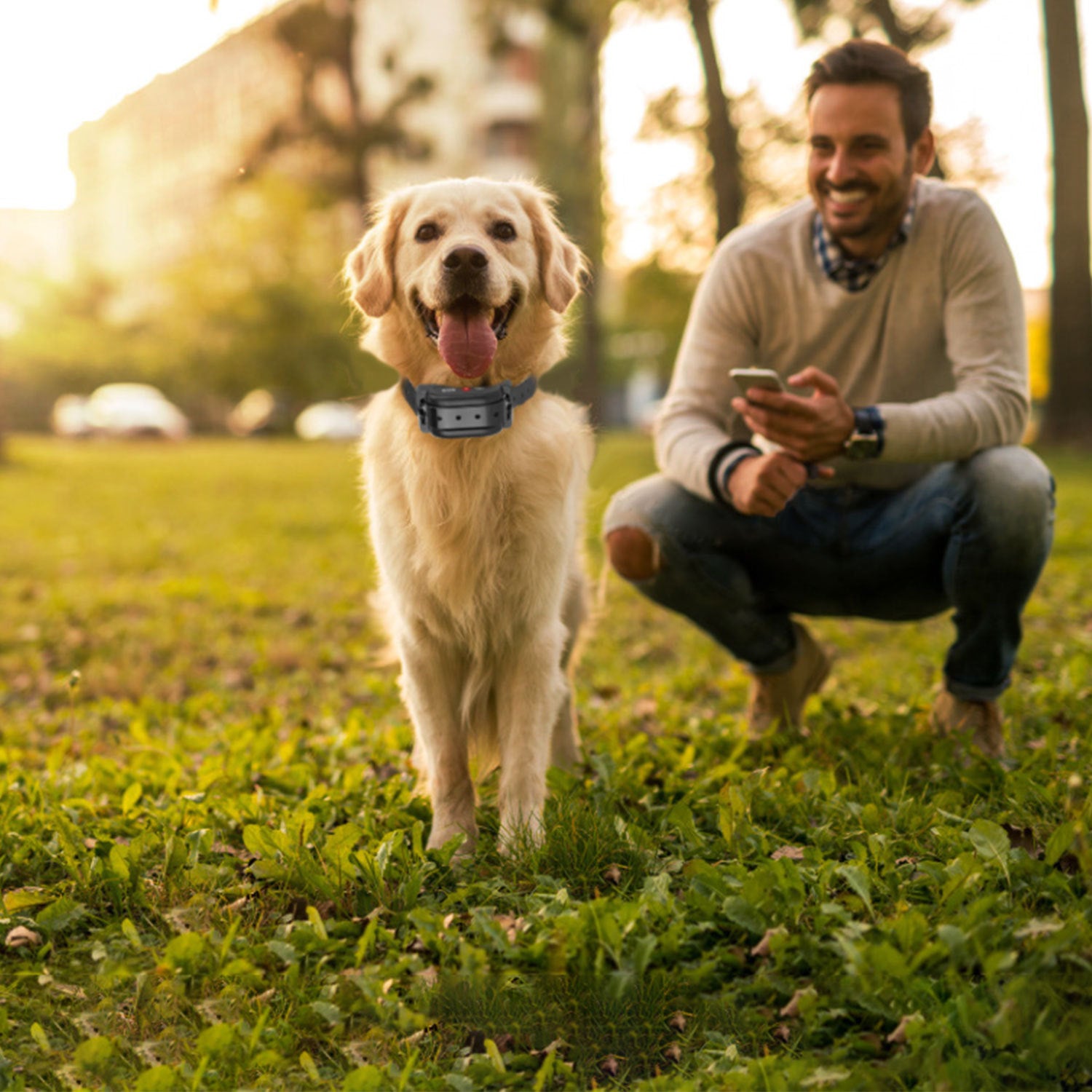 1Set Electric Wireless Dog Fence System